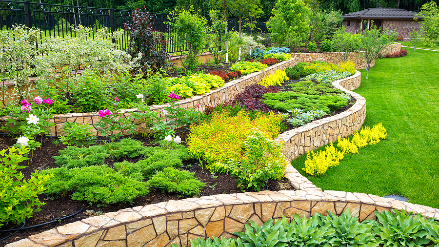 How to Create The Perfect Tampa Backyard