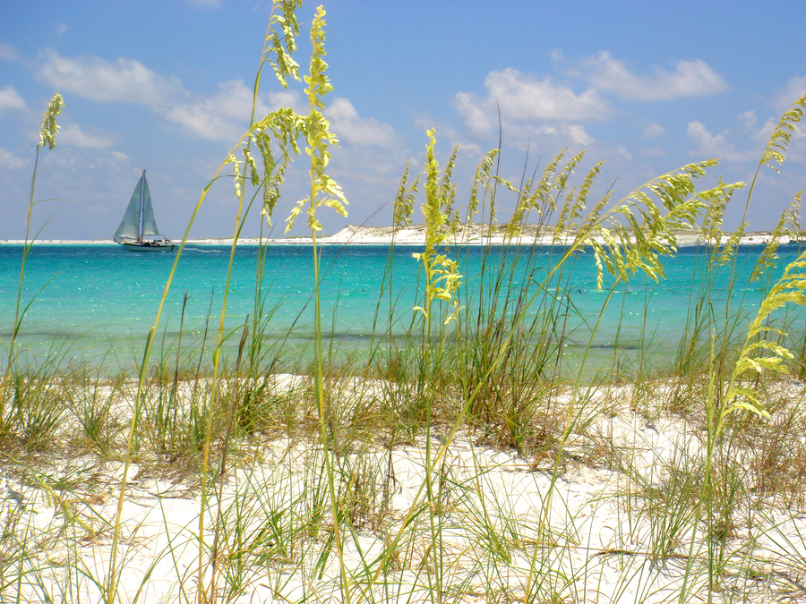 Belleair Beach: Crafting Your Coastal Dream Home